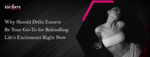 Why Should Delhi Escorts Be Your Go-To for Rekindling Life’s Excitement Right Now